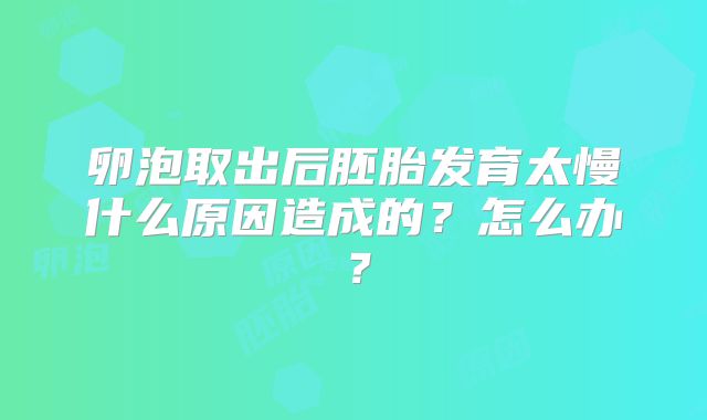 卵泡取出后胚胎发育太慢什么原因造成的？怎么办？