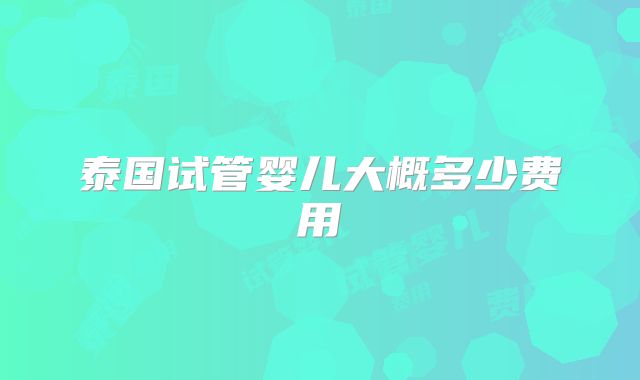 泰国试管婴儿大概多少费用
