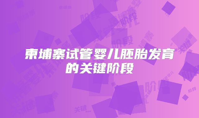 柬埔寨试管婴儿胚胎发育的关键阶段