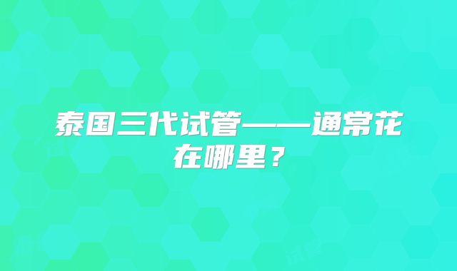泰国三代试管——通常花在哪里？