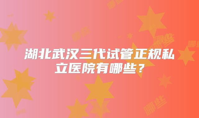 湖北武汉三代试管正规私立医院有哪些?