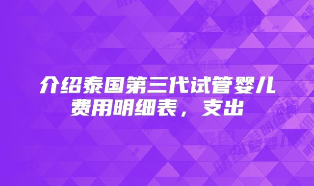 介绍泰国第三代试管婴儿费用明细表，支出