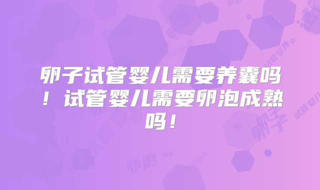 卵子试管婴儿需要养囊吗！试管婴儿需要卵泡成熟吗！