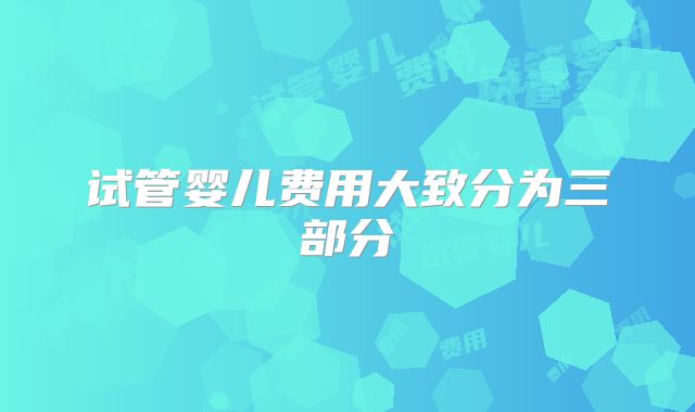 试管婴儿费用大致分为三部分