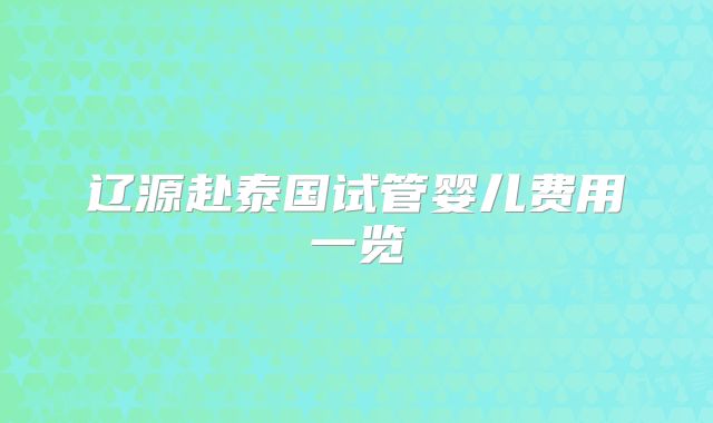 辽源赴泰国试管婴儿费用一览