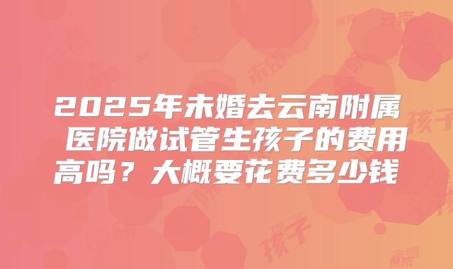 2025年未婚去云南附属 医院做试管生孩子的费用高吗?大概要花费多少钱