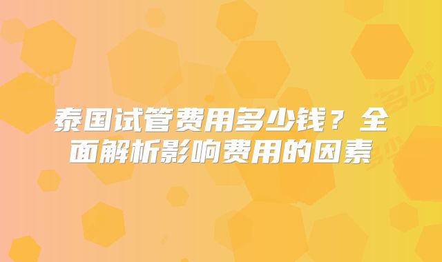 泰国试管费用多少钱?全面解析影响费用的因素