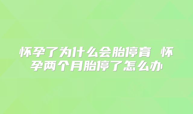 怀孕了为什么会胎停育 怀孕两个月胎停了怎么办