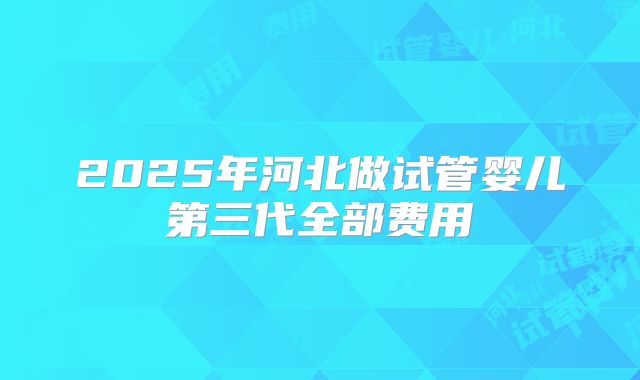 2025年河北做试管婴儿第三代全部费用