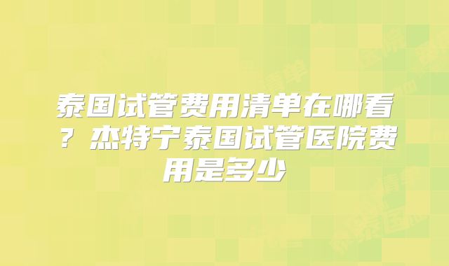泰国试管费用清单在哪看?杰特宁泰国试管医院费用是多少