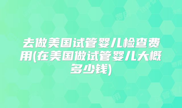 去做美国试管婴儿检查费用(在美国做试管婴儿大概多少钱)