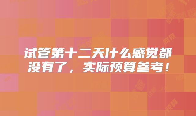 试管第十二天什么感觉都没有了,实际预算参考!
