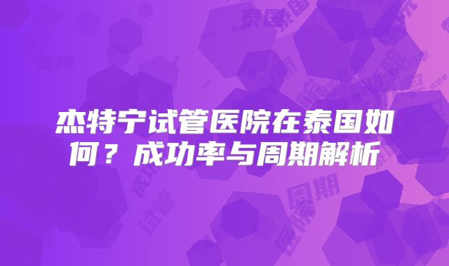 杰特宁试管医院在泰国如何？成功率与周期解析
