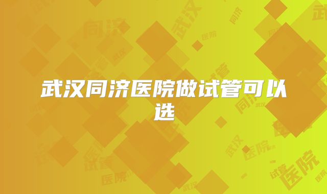 武汉同济医院做试管可以选