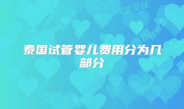 泰国试管婴儿费用分为几部分