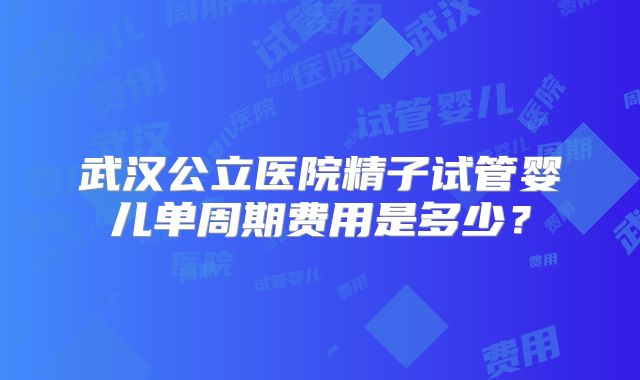 武汉公立医院精子试管婴儿单周期费用是多少？