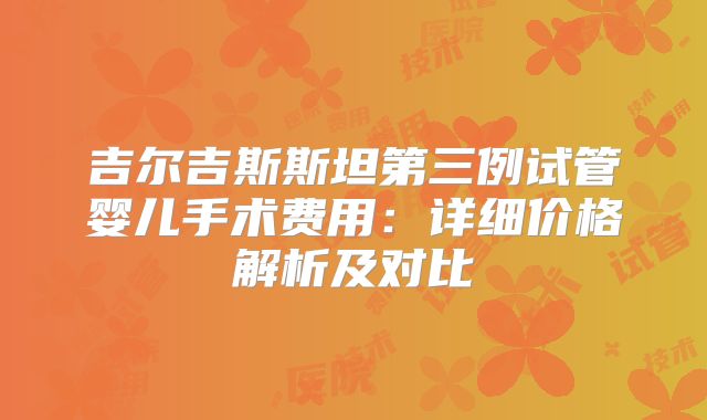 吉尔吉斯斯坦第三例试管婴儿手术费用:详细价格解析及对比