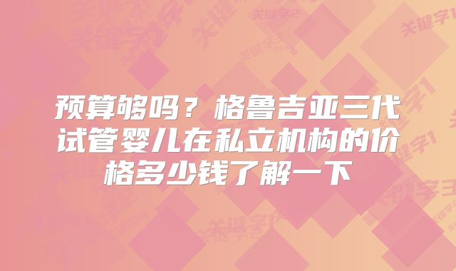 预算够吗？格鲁吉亚三代试管婴儿在私立机构的价格多少钱了解一下