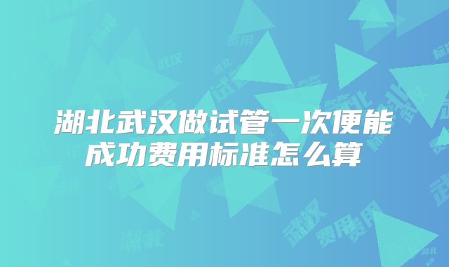 湖北武汉做试管一次便能成功费用标准怎么算