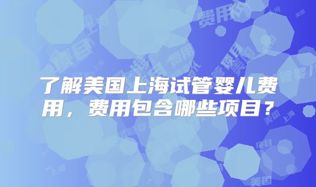 了解美国上海试管婴儿费用,费用包含哪些项目?