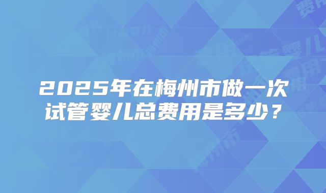 2025年在梅州市做一次试管婴儿总费用是多少？