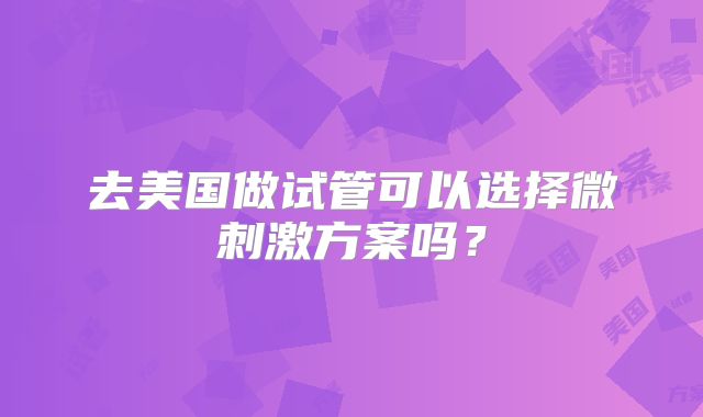 去美国做试管可以选择微刺激方案吗?