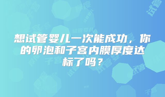 想试管婴儿一次能成功，你的卵泡和子宫内膜厚度达标了吗？