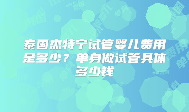 泰国杰特宁试管婴儿费用是多少？单身做试管具体多少钱