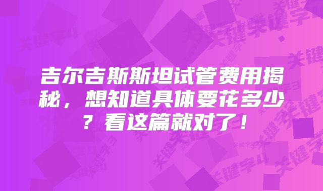 吉尔吉斯斯坦试管费用揭秘，想知道具体要花多少？看这篇就对了！