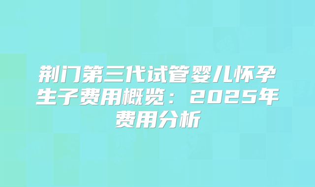 荆门第三代试管婴儿怀孕生子费用概览:2025年费用分析