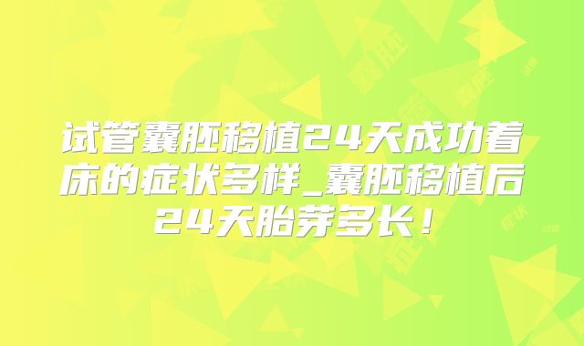 试管囊胚移植24天成功着床的症状多样_囊胚移植后24天胎芽多长!