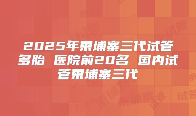 2025年柬埔寨三代试管多胎 医院前20名 国内试管柬埔寨三代
