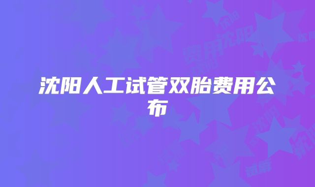 沈阳人工试管双胎费用公布