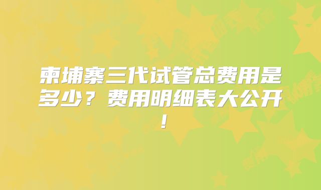 柬埔寨三代试管总费用是多少？费用明细表大公开！