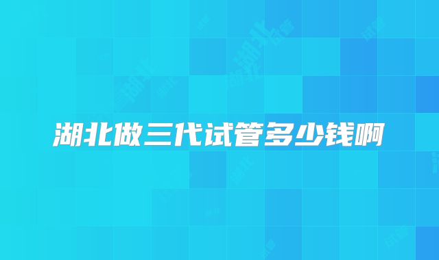 湖北做三代试管多少钱啊
