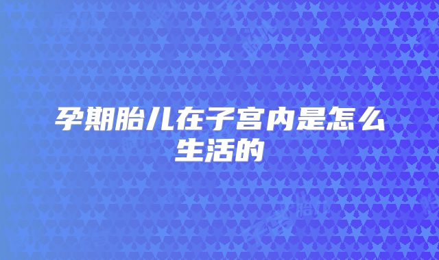 孕期胎儿在子宫内是怎么生活的