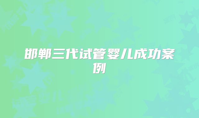 邯郸三代试管婴儿成功案例