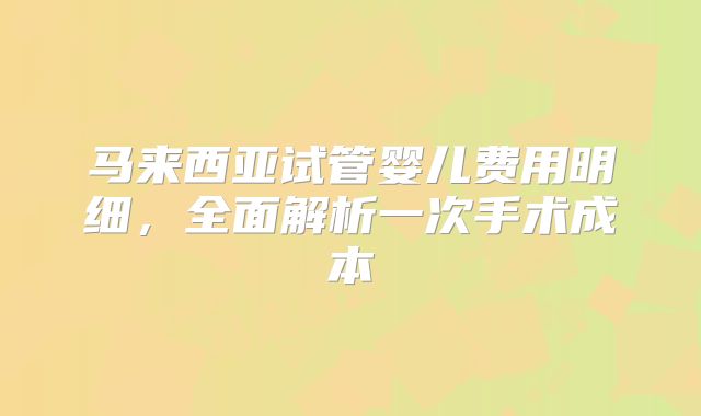 马来西亚试管婴儿费用明细,全面解析一次手术成本