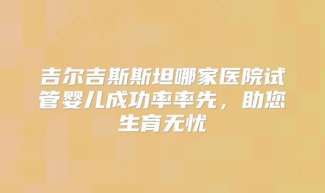 吉尔吉斯斯坦哪家医院试管婴儿成功率率先，助您生育无忧
