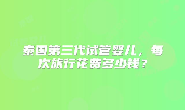 泰国第三代试管婴儿，每次旅行花费多少钱？