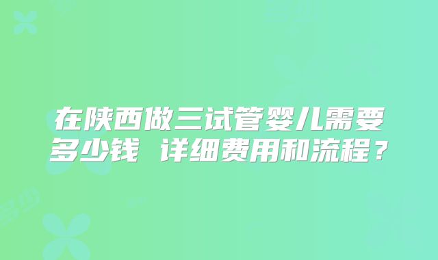 在陕西做三试管婴儿需要多少钱 详细费用和流程？