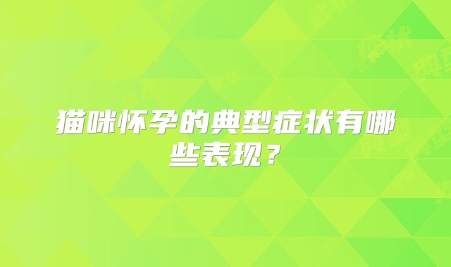 猫咪怀孕的典型症状有哪些表现?