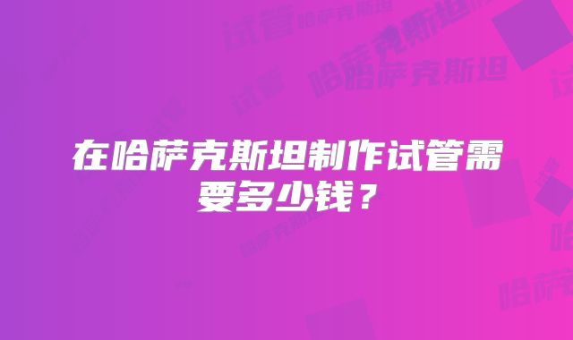在哈萨克斯坦制作试管需要多少钱？