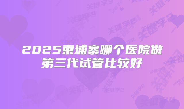 2025柬埔寨哪个医院做第三代试管比较好