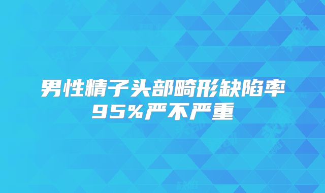 男性精子头部畸形缺陷率95%严不严重