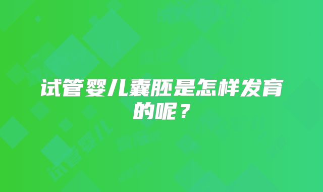 试管婴儿囊胚是怎样发育的呢？