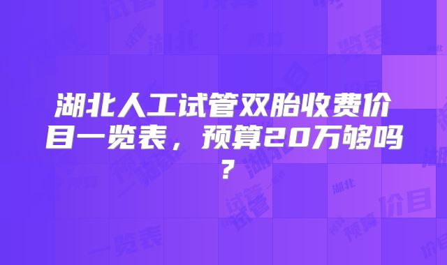 湖北人工试管双胎收费价目一览表,预算20万够吗?