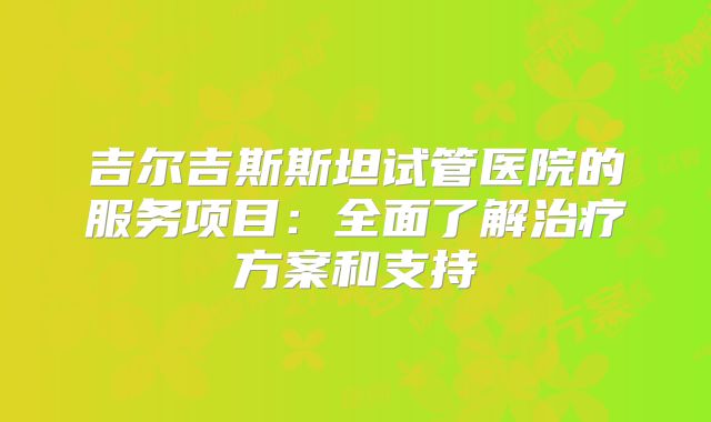 吉尔吉斯斯坦试管医院的服务项目:全面了解治疗方案和支持