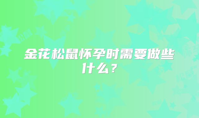 金花松鼠怀孕时需要做些什么？