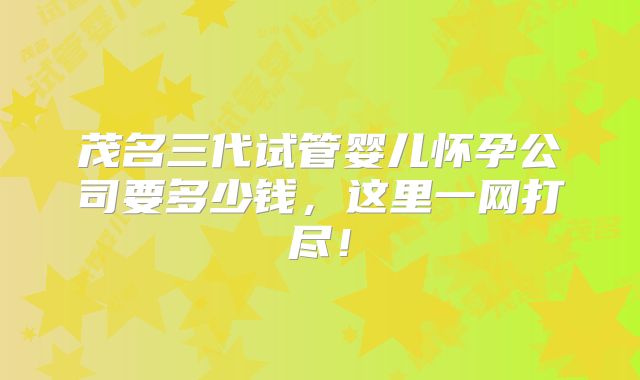 茂名三代试管婴儿怀孕公司要多少钱，这里一网打尽！